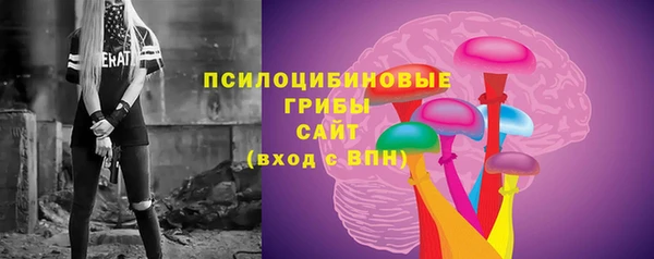 шишки Алексин