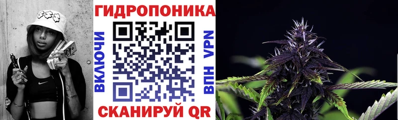 цена наркотик  Гусиноозёрск  Шишки марихуана семена 